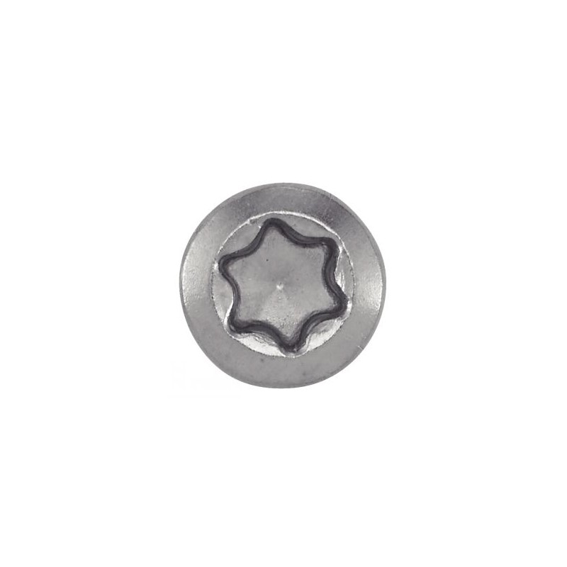 Vis inox A2 torx TX25 bois dur 5*60 boîte de 200 unités