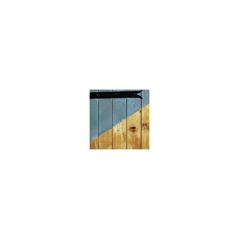 Dilunett