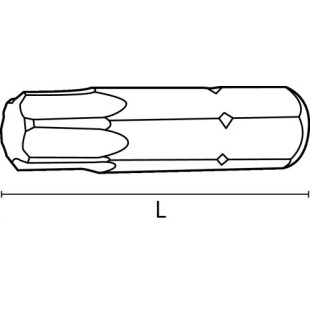 Embout 6 lobes Torx 10/25