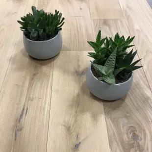 Parquet massif Chêne avec chanfreins 15*125*300 à 1200/1400 mm