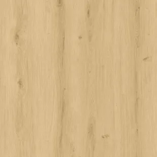 Molière Sol vinyle rigide clipsable intendance XL 6 usure 0.55mm*228*1520mm