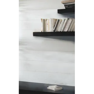 Axil Gel biosourcé 0,75 L