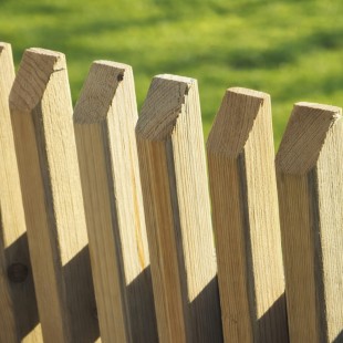 Panneau Plano Sapin CL3 vert