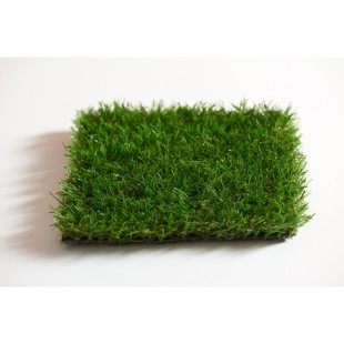 Gazon synthétique Cambridge 33mm