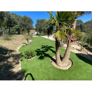 Gazon synthétique Cambridge 33mm