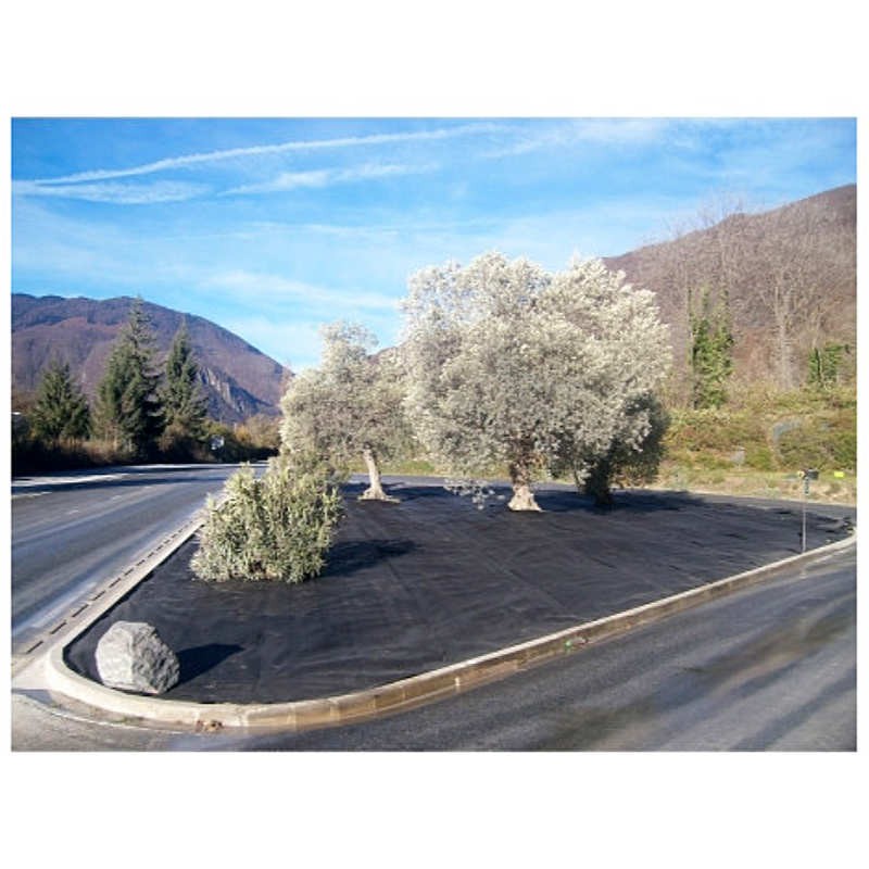 Feutre géotextile noir 25ml*1ml rouleau de 25m² Wedd Stop S BIDIM