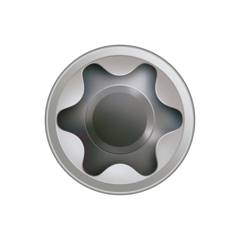 Vis terrasse bois dur 5*60 inox A2 400 unités