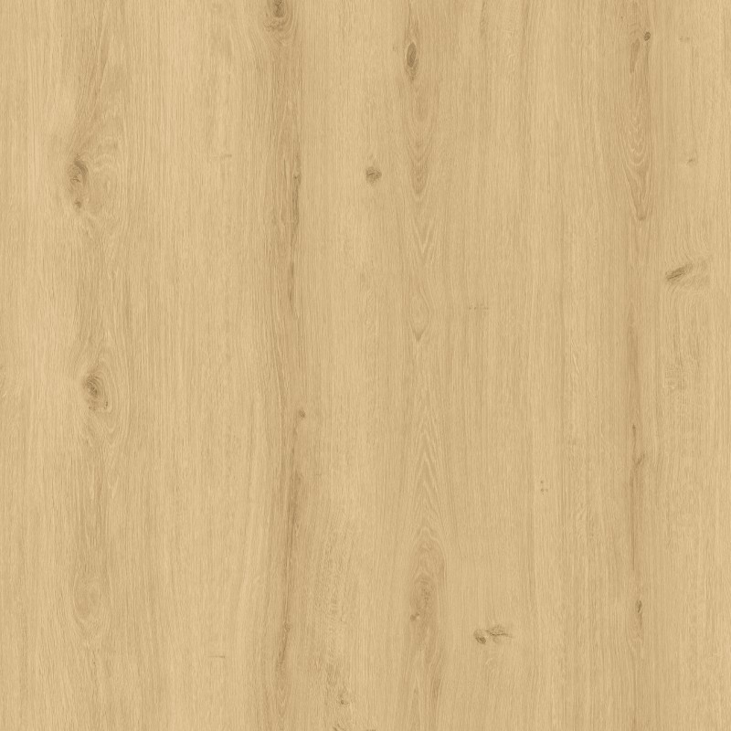 Molière Sol vinyle rigide clipsable intendance XL 6 usure 0.55mm*228*1520mm