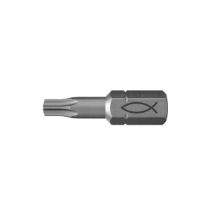 Embout acier T20 boîte de 10 unités